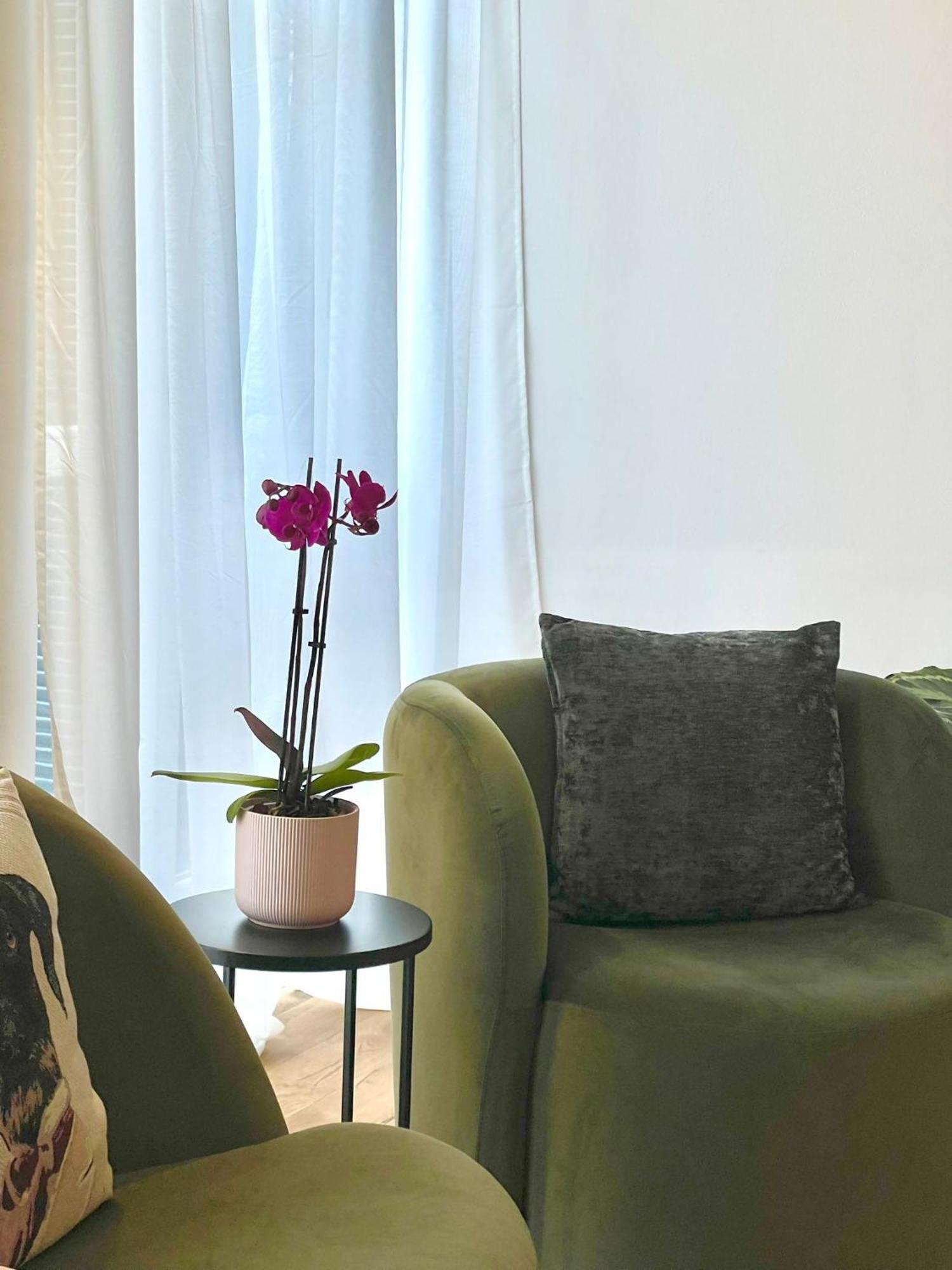 ליבורנו I Marmi New Royal Design Apartment מראה חיצוני תמונה